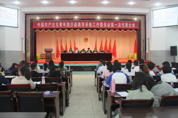 成立教育团工委并召开第一次代表大会 _ 教育动态 _ 沙县区人民政府