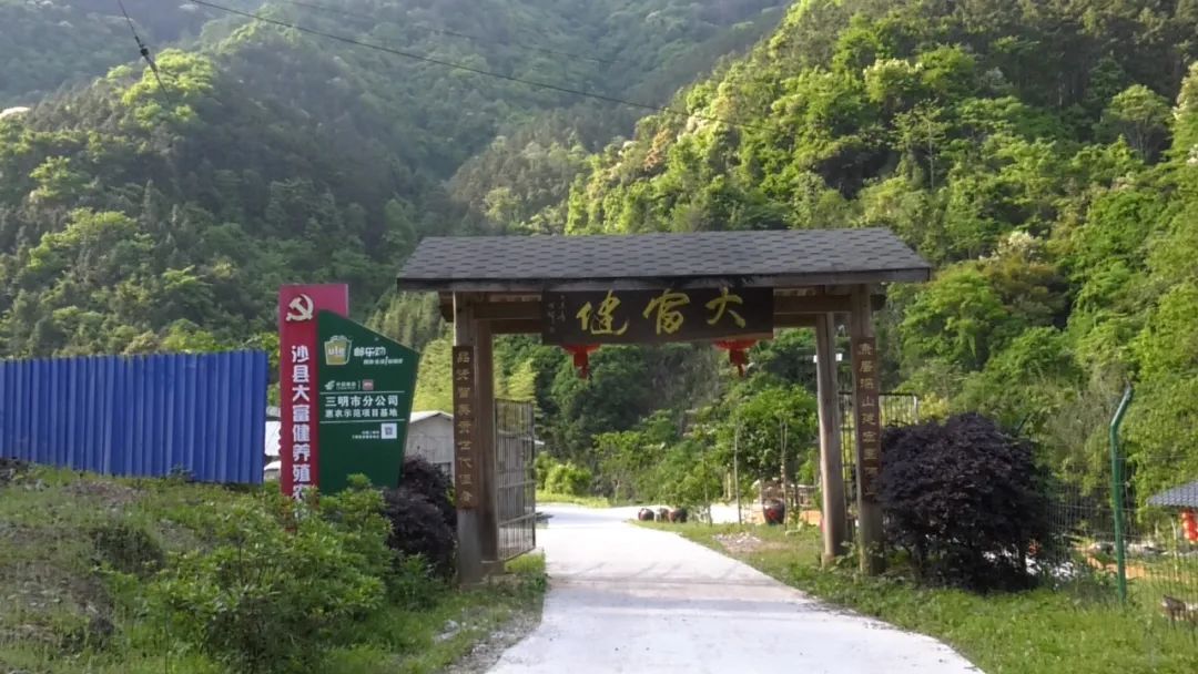 富口镇:疫情防控不松懈 激发乡村发展新动力 _ 部门快讯 _ 沙县区人民