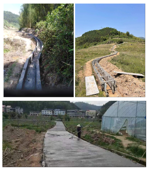 高砂镇以粮为本助力乡村振兴